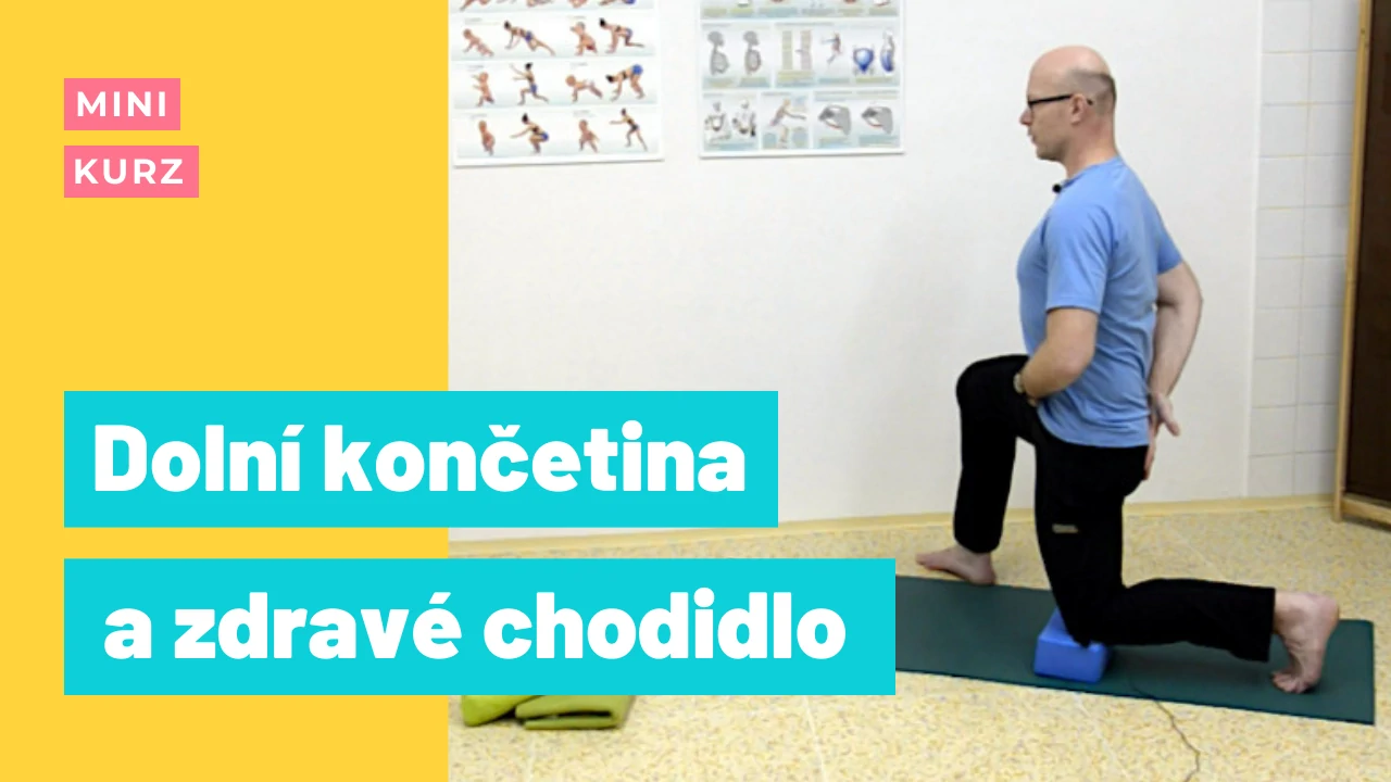 Minikurz Dolní končetina a zdravé chodidlo